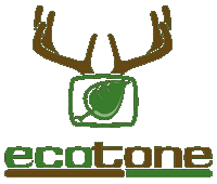 Ecotone