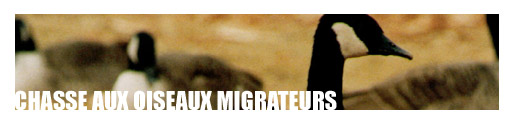 Album photo Chasse aux oiseaux migrateurs